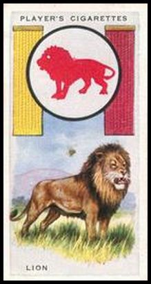 11 Lion